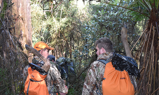 CPM gets funding green light