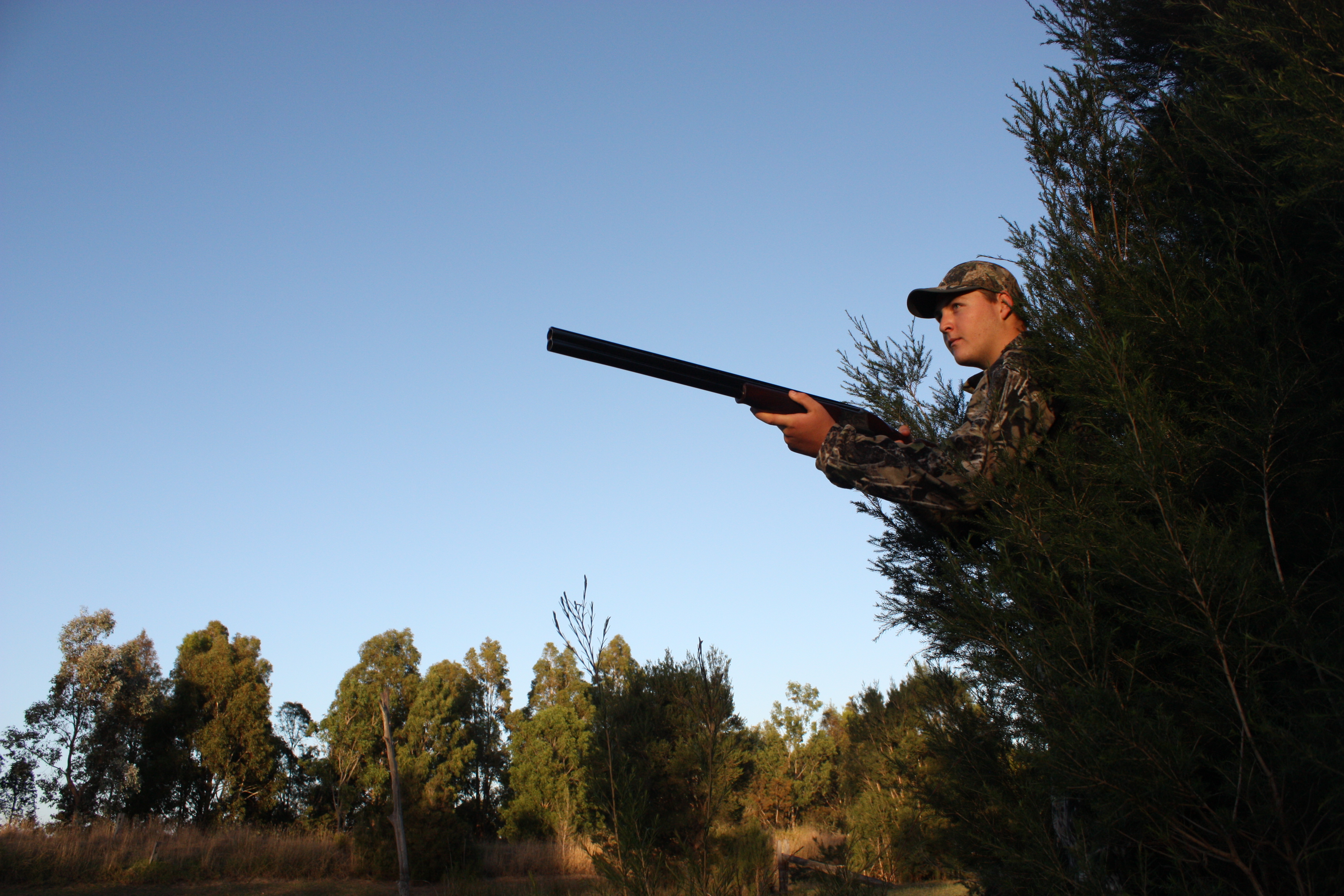 What is the Waterfowl Conservation Harvest Model