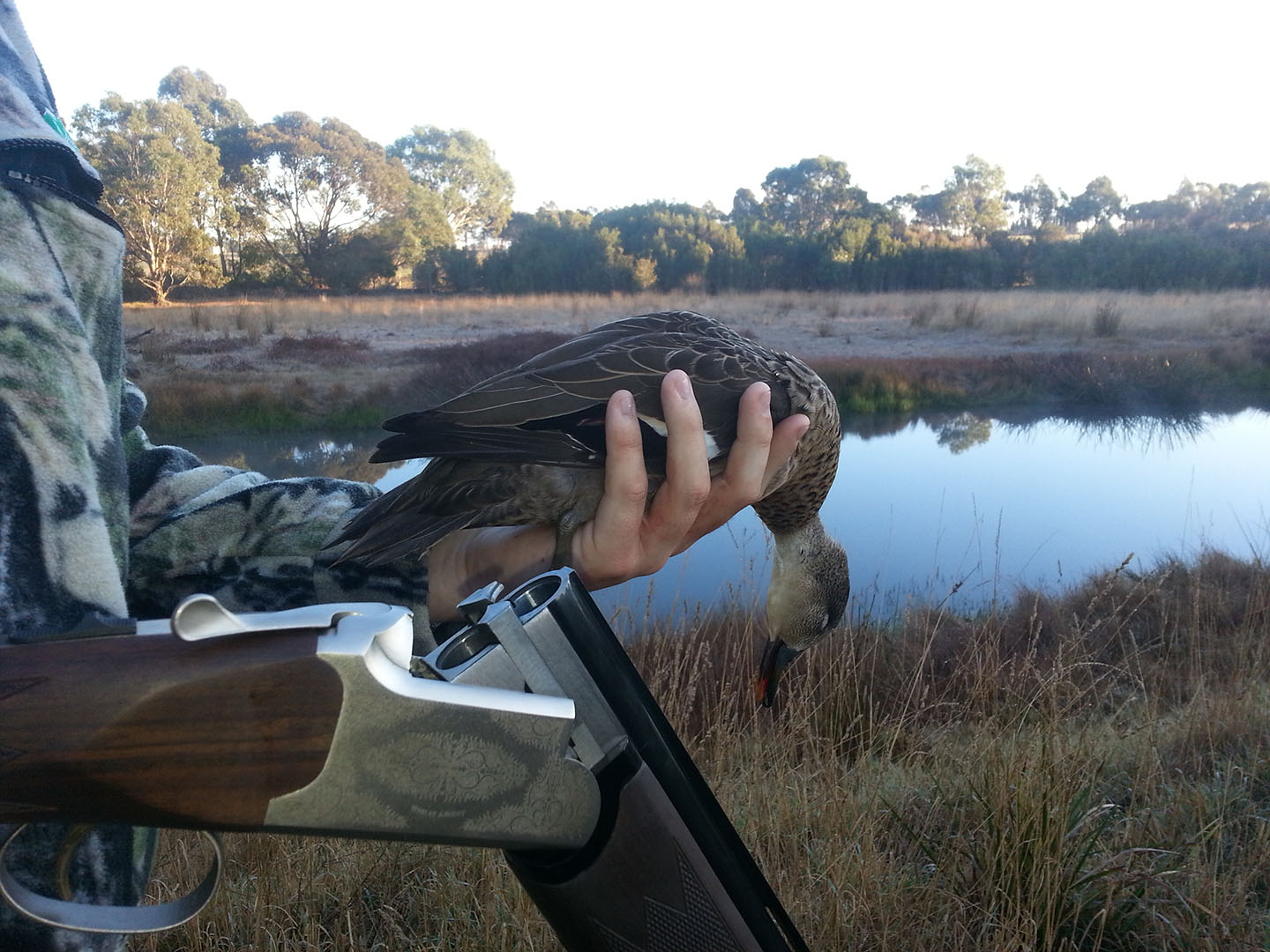 SSAA Victoria Reacts to 2021 Duck Season Announcement SSAA Victoria