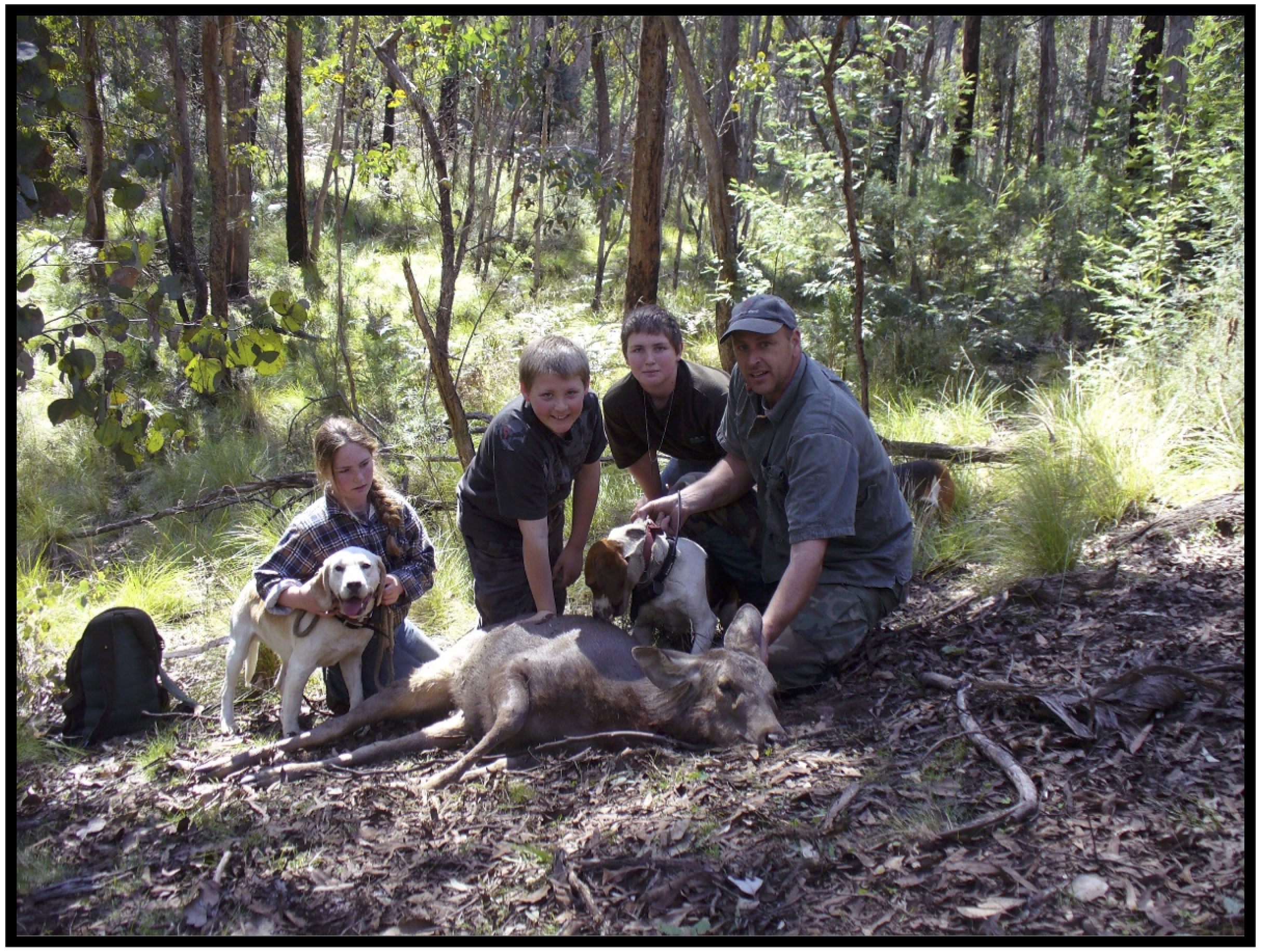Positive initiative by DELWP for Hound Hunting