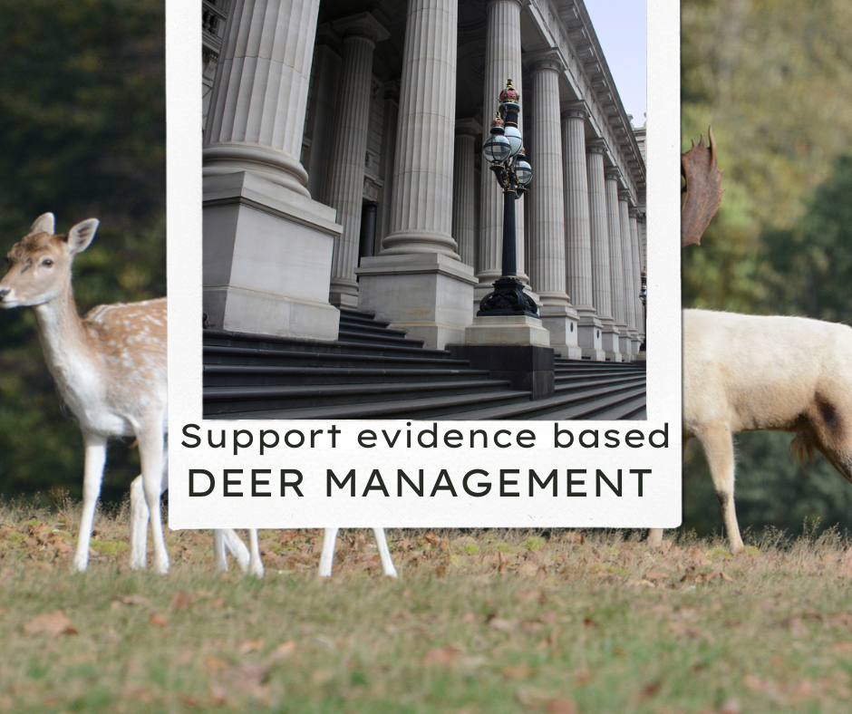 Take action to defend recreational deer hunting in Victoria SSAA Victoria