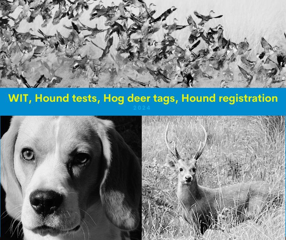 WIT and Hound Tests, Hog Deer Tags, Hound Registration – Preparation for the 2024 game hunting seasons