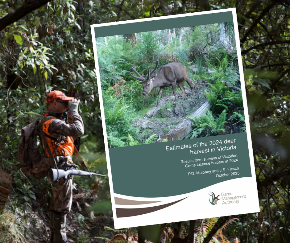 Victorian hunters harvest 170,000 Deer – Delivering economic, environmental, and regional benefits